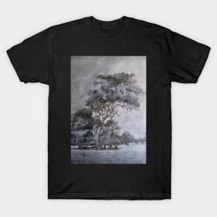 My Tree - Drawing by Avril Thomas - Adelaide / South Australia Artist Near Inman Valley South Australia T-Shirt